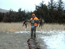 Is our guide in compliance?