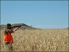 Pheasant opener at the Buffalo Butte Ranch